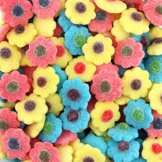 Söta färgglada blommor